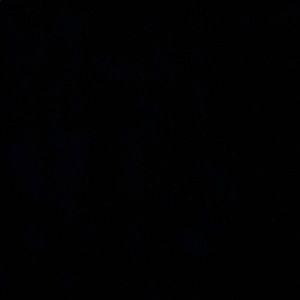 Meet your Posher, Carter